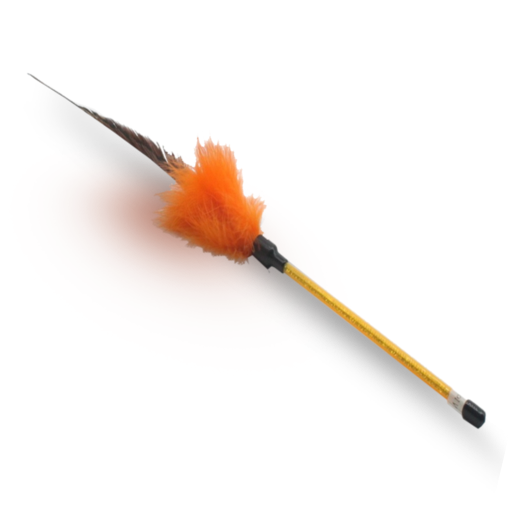 Catry Cat Toy