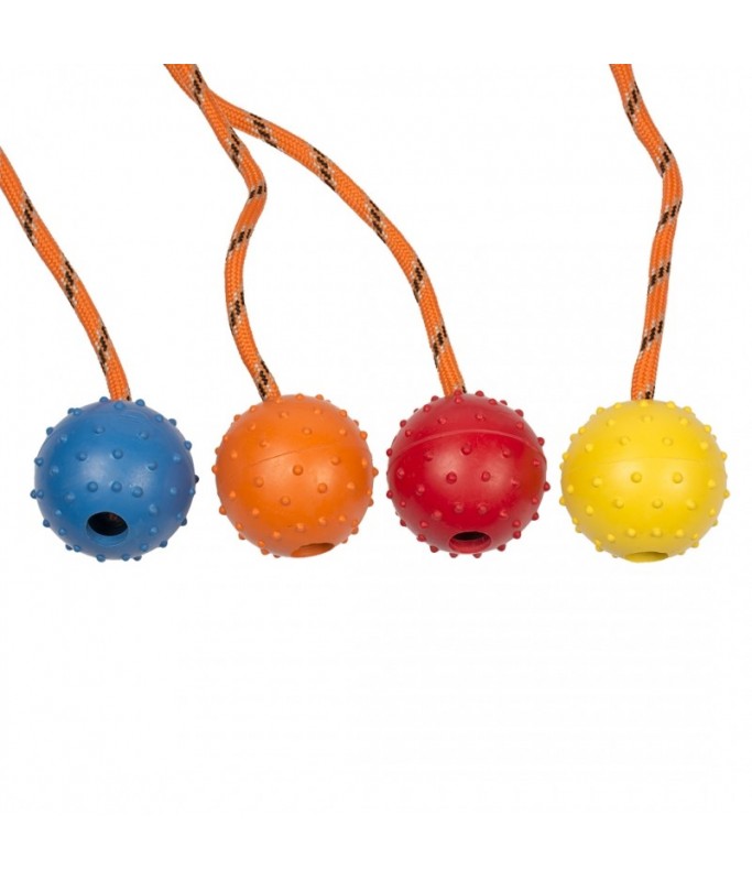 Duvo Rubber Dental Ball With Rope Mix Mixed Colors 33cm[Length - 33cm]