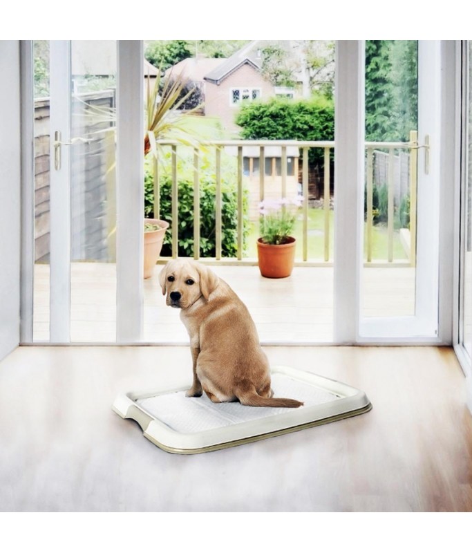 Duvo Pet Pad (P-PAD) - Dog Training Medium - 30pcs - 30x45cm