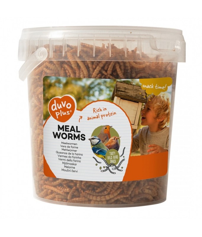 Duvo Meal Worms Bucket 200g[Weight - 200g]