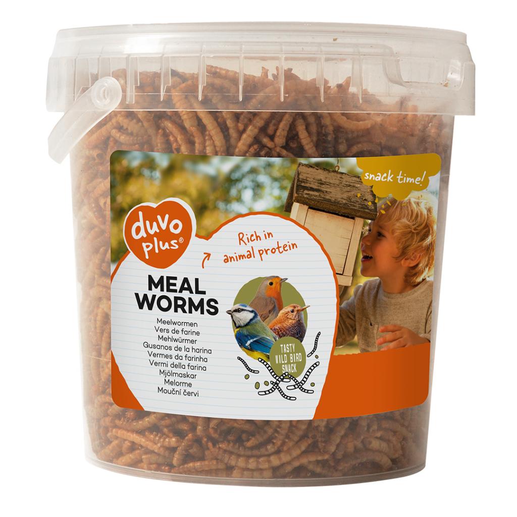 Duvo Meal Worms Bucket 200g[Weight - 200g]