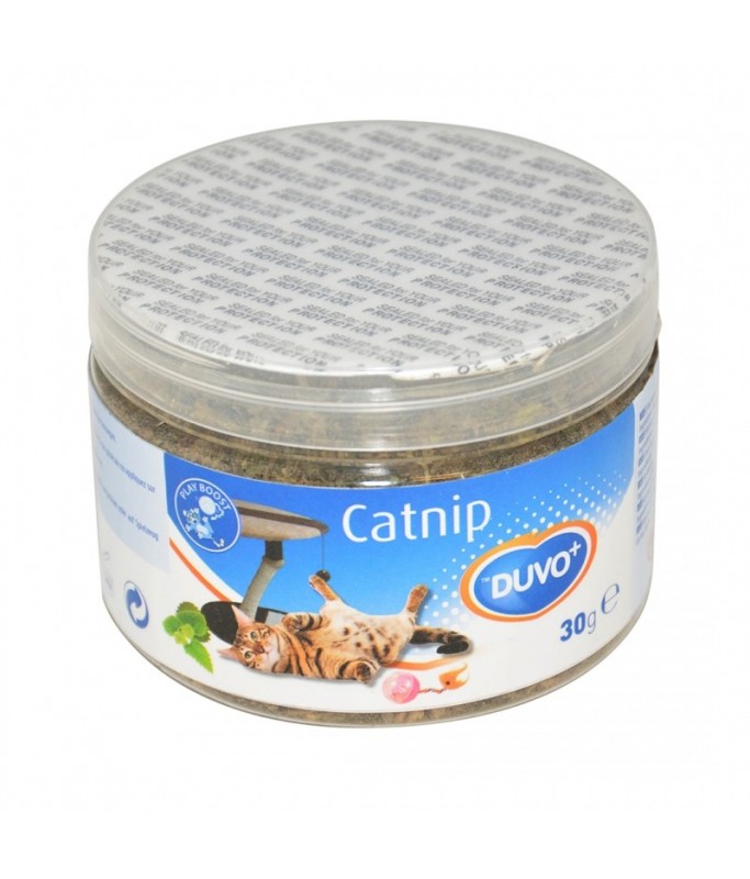 Duvo Catnip Herb 30 g[Weight - 30g]