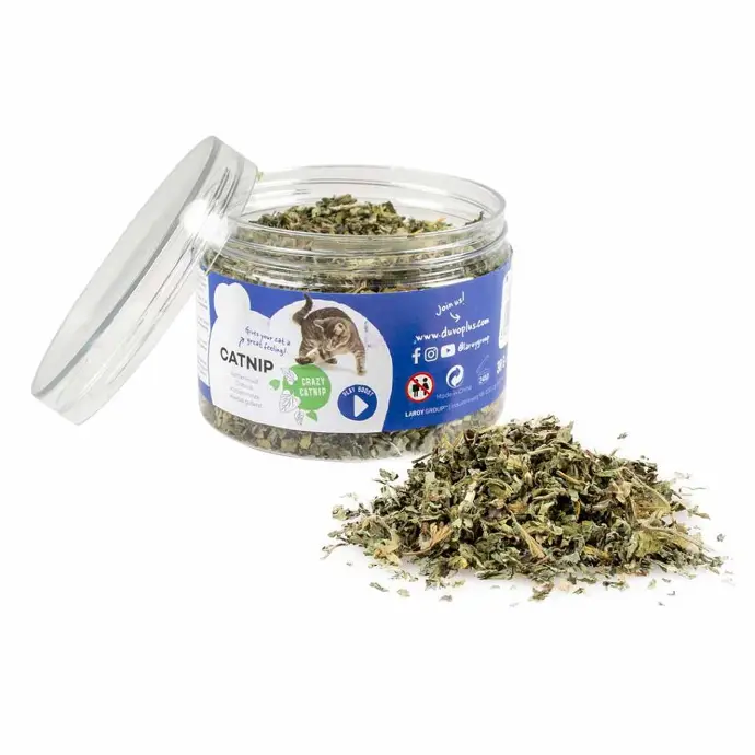 Duvo+ Catnip Herb 30 g[Weight - 30g]