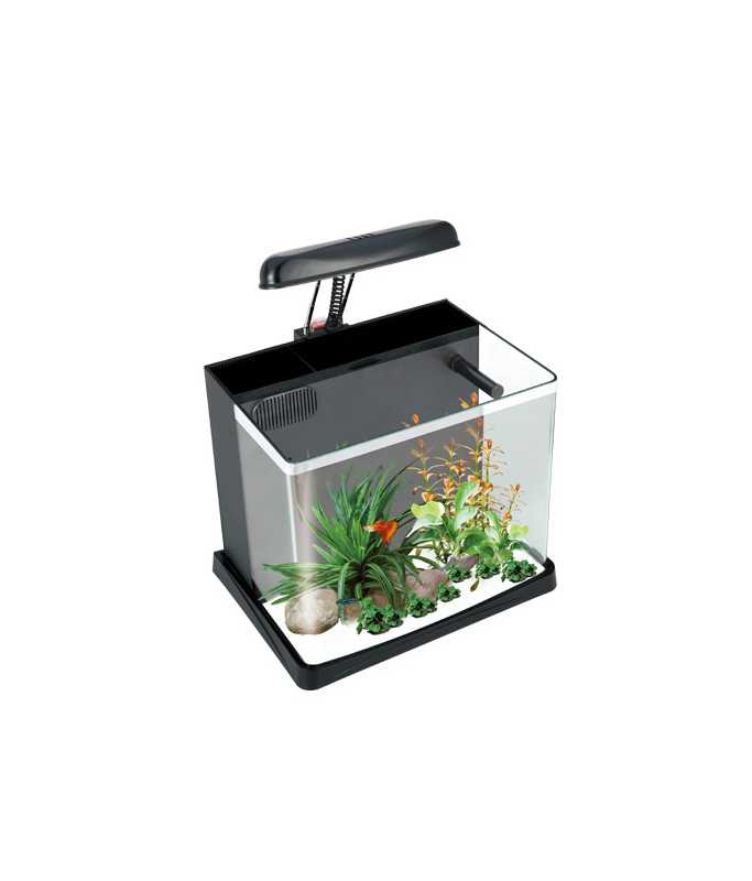 Boyu Joyful Home Aquarium[Dimension - 35 x 21x 26 cm]