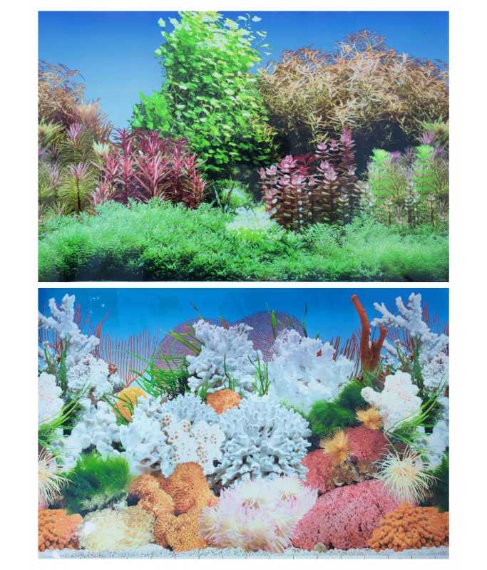 KW Zone Aquarium Backscreen (Picture) 24"x15m[Model - NF3 / M3]