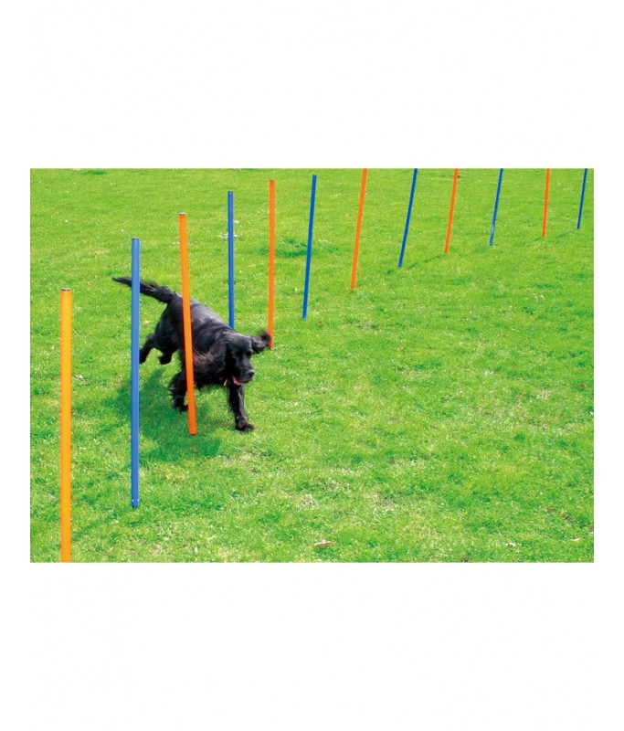 Pawpals Dog Training Poles 117x12x12Cm-12pcs