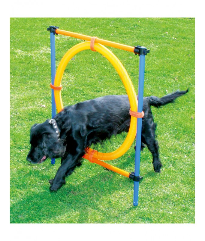 Pawpals Agility Dog Training Ring 117x10x10Cm
