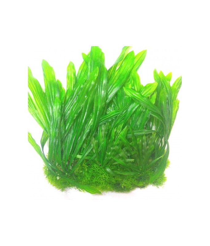 Sea Star Aquarium Decoration - Artificial Plant - PLT1306L[Length - 20cm]