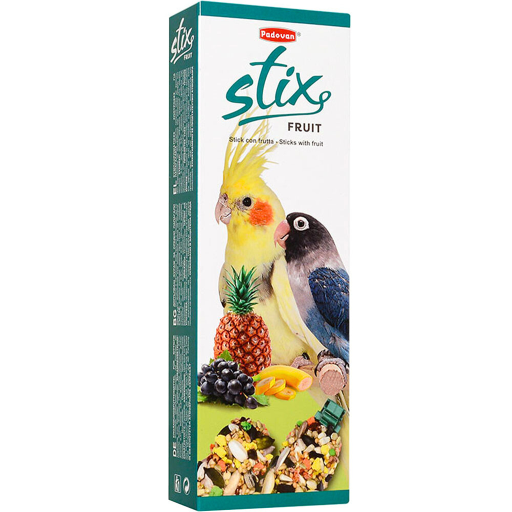 Padovan Stix Fruit Parrocchetti 100gm(Cocktail/Love Bird)