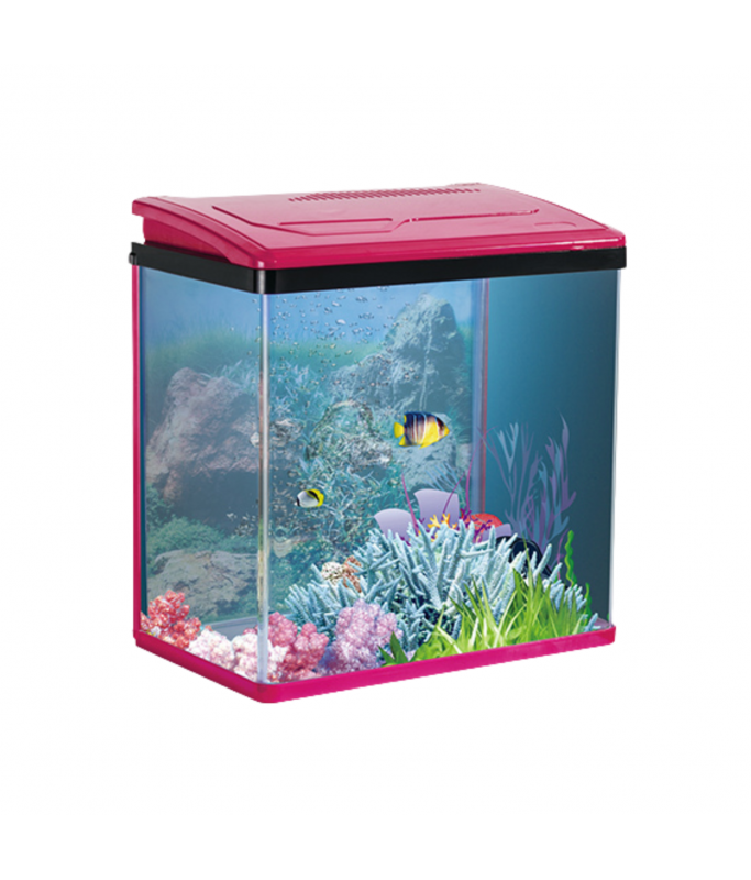 Karis PY-Series Aquarium 235 x 160 x 280mm[Color - Maroon]