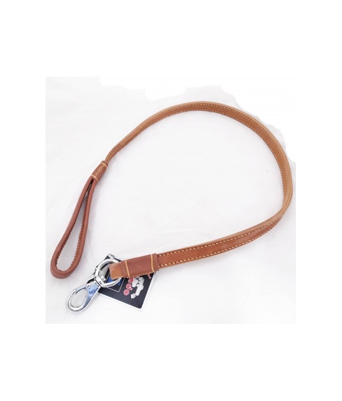 Smart Way Leather Leash 120cm