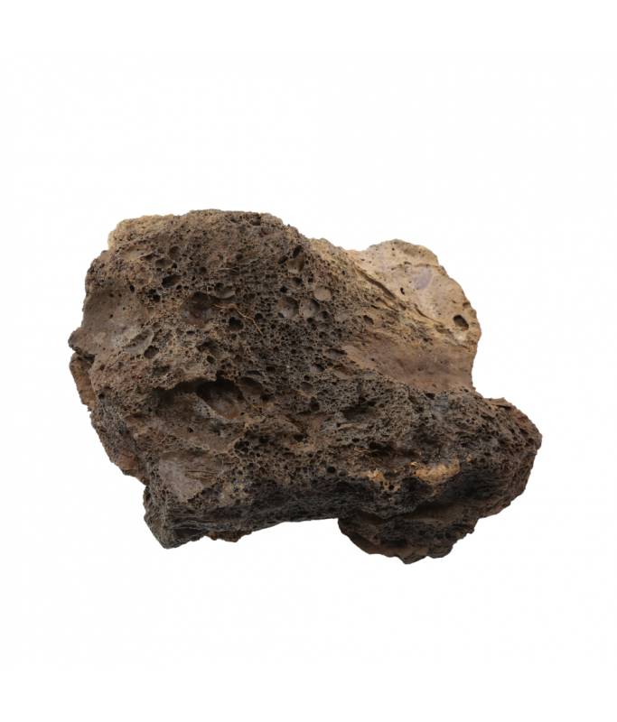 Natural Color Aquarium Black Lava Rock- 15-25cm (kg)