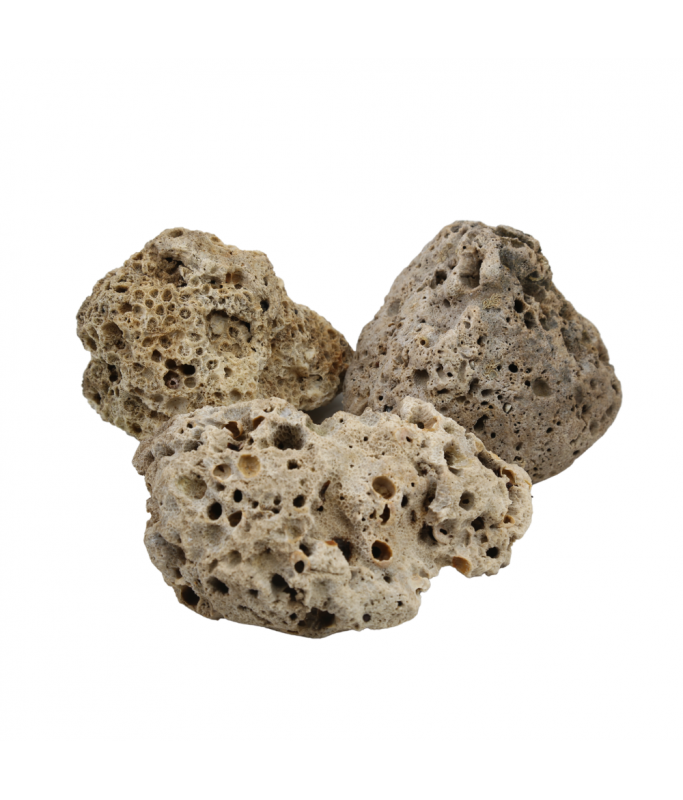 Natural Color Aquarium Dead Coral Rock- 15-25cm (kg)