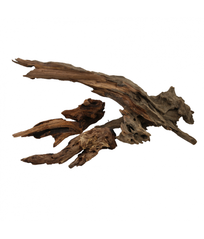 Natural Color Natural Tree Purple Teak Case Driftwood- 20-40cm (kg)