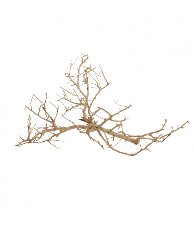 Natural Color Aquarium Decorative Natural Driftwood- 10-30cm (kg)