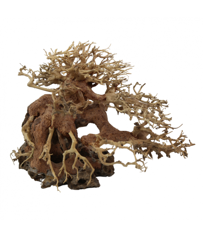 Natural Color Aquarium Decorative Natural Bonsai Driftwood Tree- 30-35cm (pc)