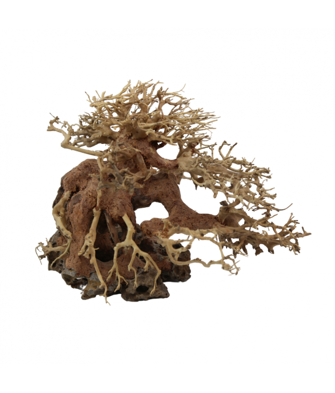 Natural Color Aquarium Decorative Natural Bonsai Driftwood Tree- 25-30cm (pc)
