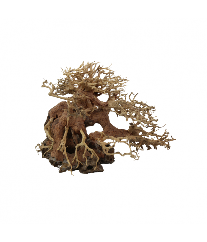 Natural Color Aquarium Decorative Natural Bonsai Driftwood Tree- 15-20cm (pc)