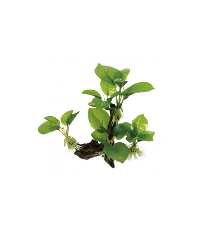 Yusee Aquarium Decoration [2 Pcs] - Artificial Plant - YS-1948[Dimension - 15.5 x 8.5 x 19.5cm]