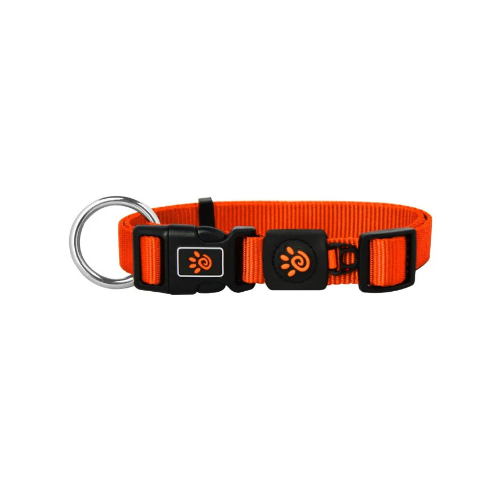 DOCO Signature O - Ring Collar - 1.0 x 21-30cm[Color - Safety Orange,Size - XS]