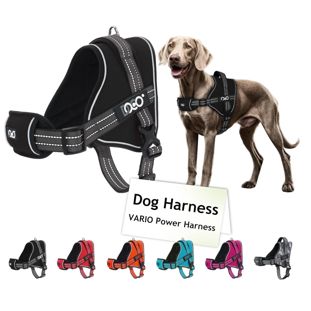 DOCO Vertex Power Harness Previous (DVX1)[Color - Black, Size - S]