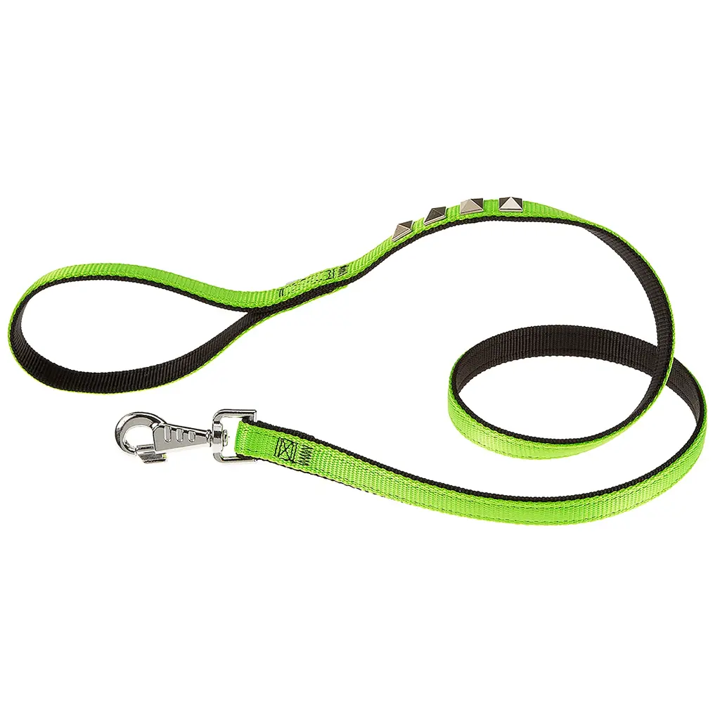 Ferplast Dual Pyramid G Nylon Dog Leash[Color - Green, Dimension - 20mm x L 120cm]