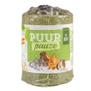 Witte Molen Puur Pauze Parsley Tube Carrot & Plantain green - 100g