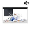 Boyu Pawgether GR-1s WIFI Desktop Aquarium 380x210x240mm (14L)