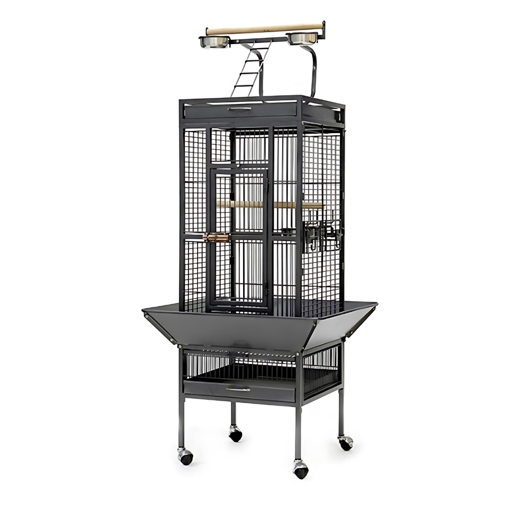 Dayang Bird Cage (A10) - 67 x 67 x 156cm [Colour - Black]