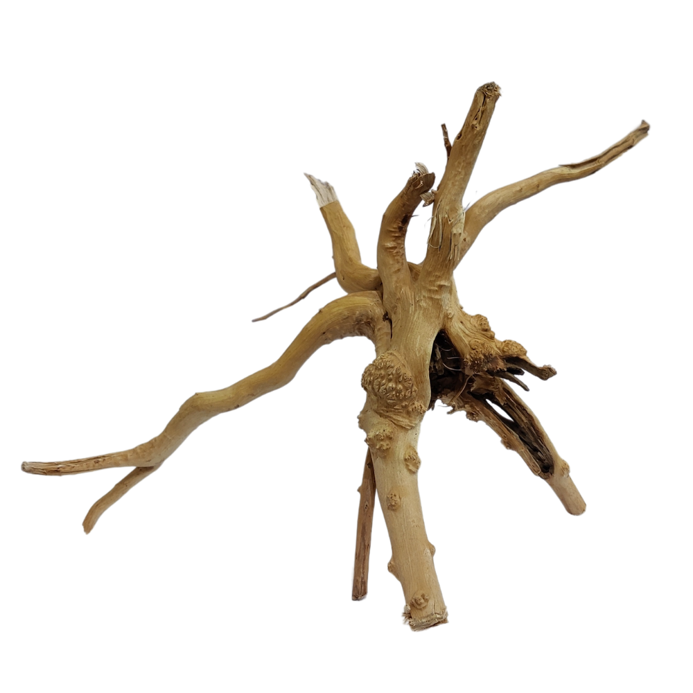 Aqualife Little Tree Root-Per Kg