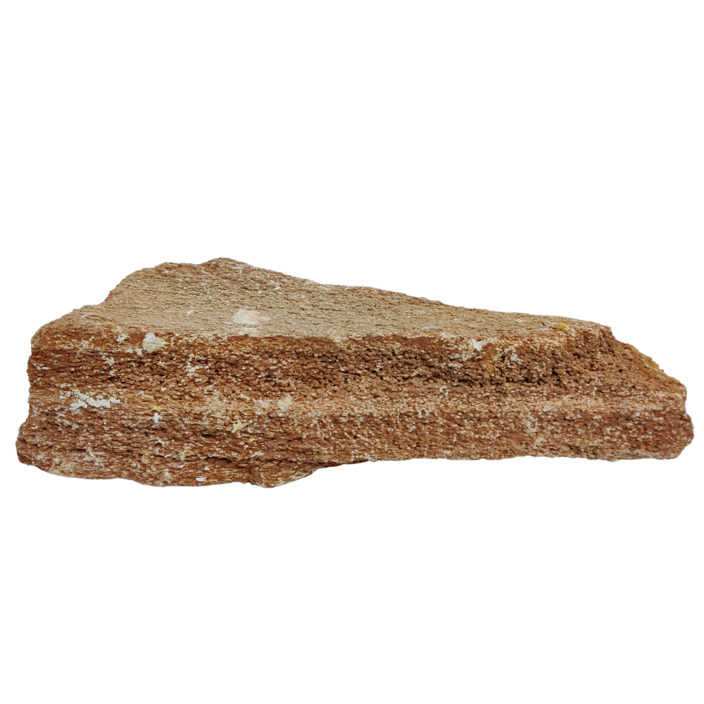 Aqualife Burmese Wood Fossil Stone-Per Kg