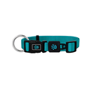 DOCO® Signature O- Ring Collar - 2.0 x 35-51cm[ Color - Turquoise, Size - M]