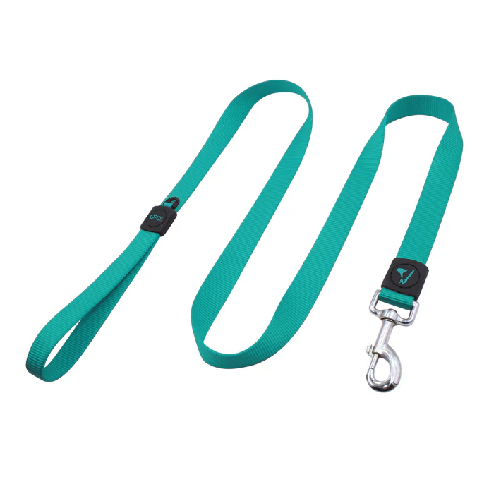 DOCO® Signature Nylon Leash - 4ft-1.0 x 120cm(XS)-Turquoise