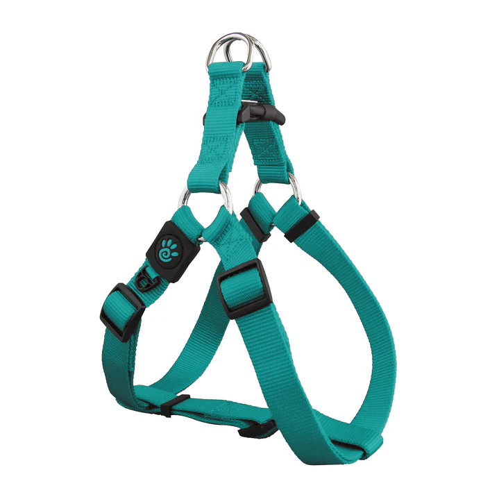 DOCO® Signature Step-In Harness-1.0 x 26-35cm(P)-Turquoise