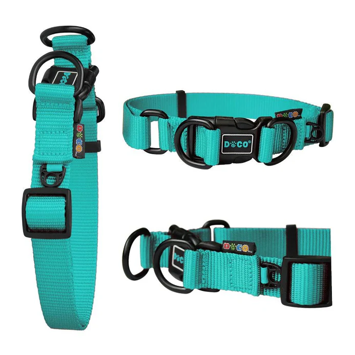 DOCO® DD Collar 2.5 x 45-68cm(L) Turquoise