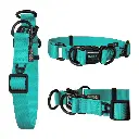 DOCO® DD Collar 2.5 x 45-68cm(L) Turquoise