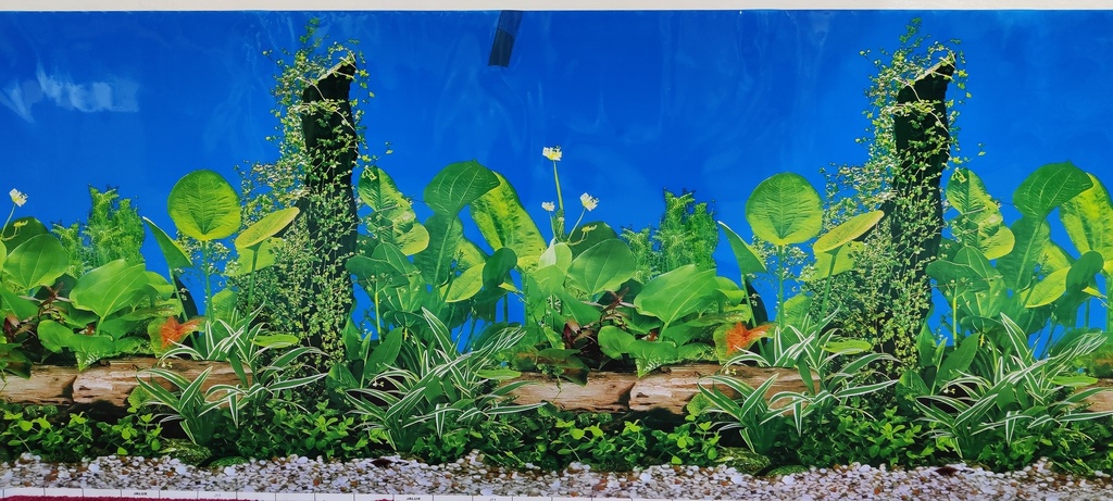 Boyu Plastic Background Paper 60cm x 15m