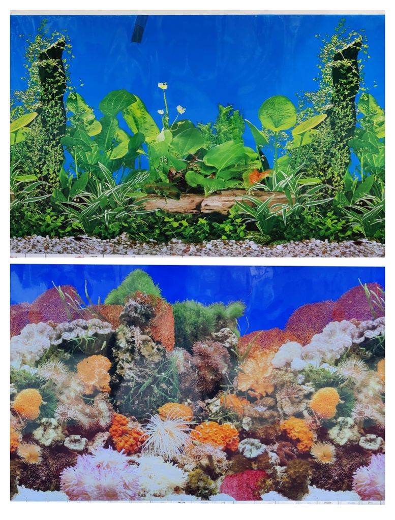 Boyu Plastic Double Sides Background Paper 60cm x15m