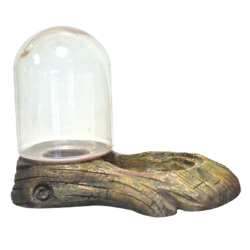 KW Zone Reptiles Feeding Bowl U-605-15.5x10.8x11cm