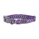 DOCO® Jacquard Weave Collar-2.5 x 34-51cm D6