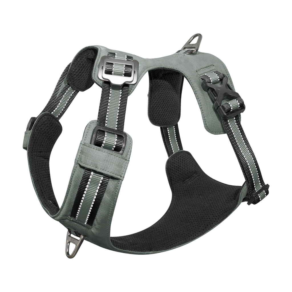 DOCO® VERTEX Reflective Ultralight Mesh Harness Large [Neck 48-59cm;Chest 62]-Iceland