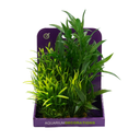 Yusee Aquarium Decorations - Artificial Plant YS-40101 [Height:15cm]