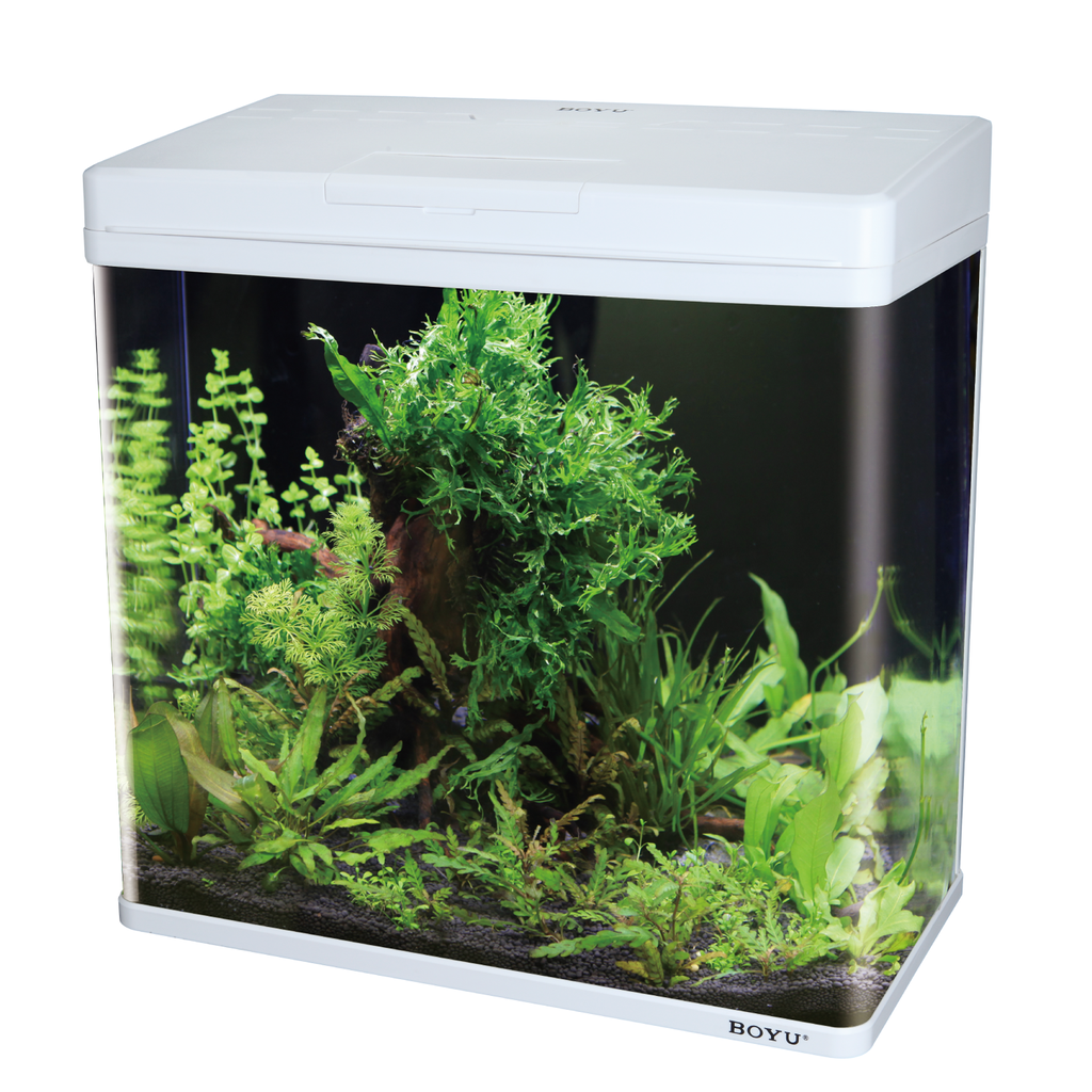 Boyu Aquarium MS-Series(Without Cabinet)[Color - White,Dimension - 480x250x490mm]  