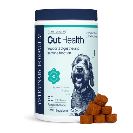 Synergy Labs Veterinary Formula Gut Health Formulated Probiotic Chews Supplement for Dogs – 225g [Count - 60]