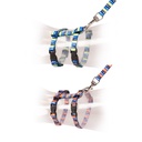 Duvo+ Kitten Walking Set Fish Bones 15-25cm / 8mm-125cm Mixed Colors 