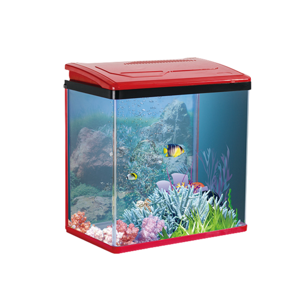 Karis PY-Series Aquarium 197x150x225mm [Color - Maroon]  