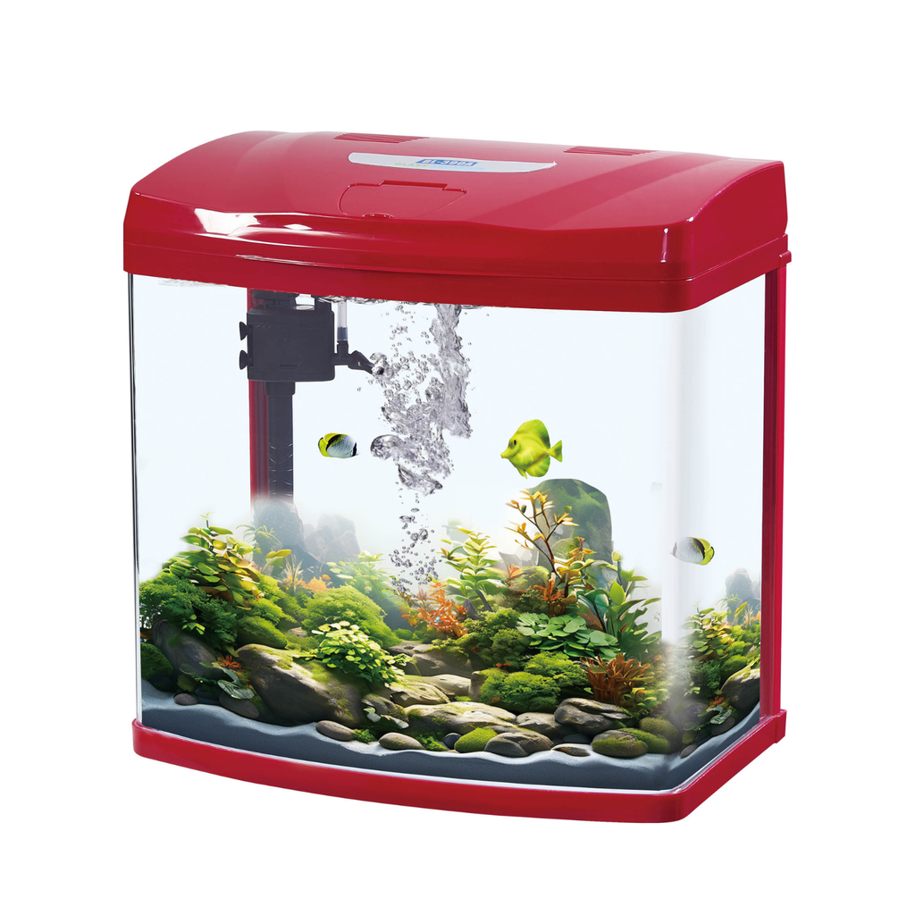 Karis Glass Aquarium BL-310A - [30x21x30.5cm, Color - Maroon] 