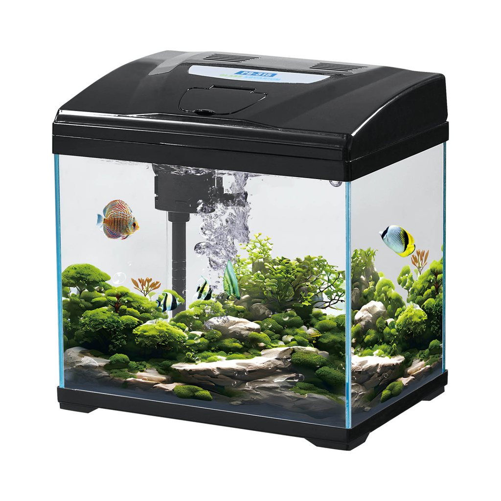 Karis Super White Glass Aquarium PD-315 - [30x21x30cm, Color - Black]