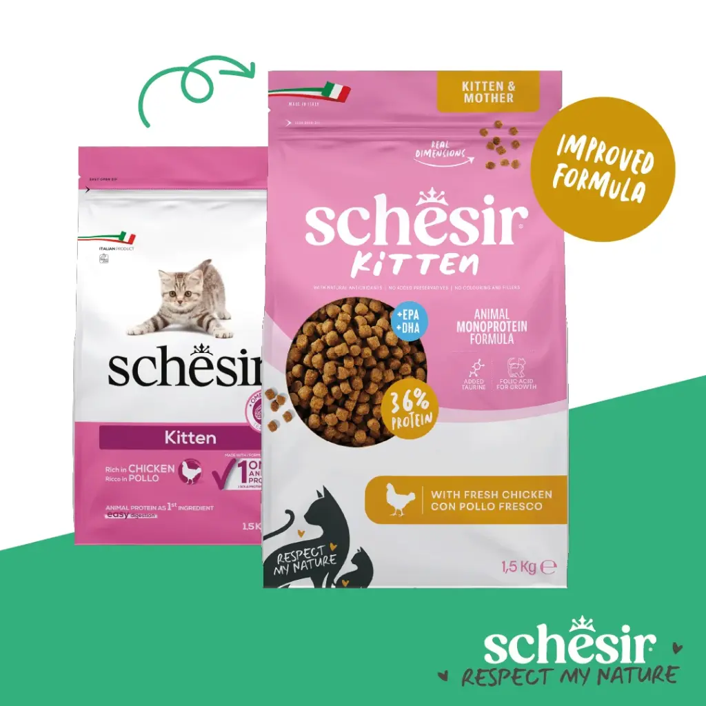 Schesir Monoprotein Kitten Dry Cat Food – Fresh Chicken-1.5kg