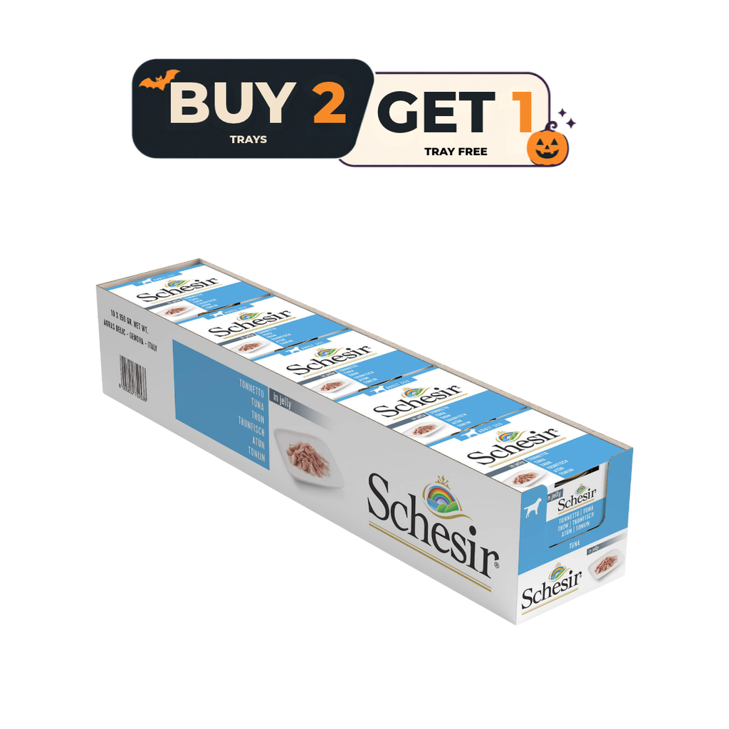 Schesir Dog Wet Food in Jelly Can-Tuna 150g - Buy 20 pcs and get 10 pcs free.